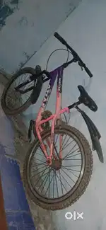 Stylish bicycle