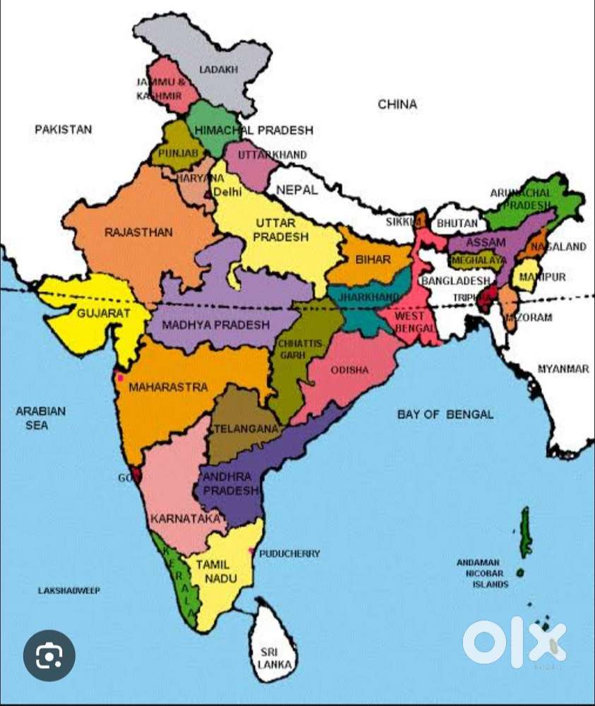 I'm male 39 ready to do any job