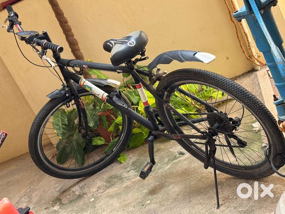 Raleigh - My Ride City Bike ( Rare Premium Model)