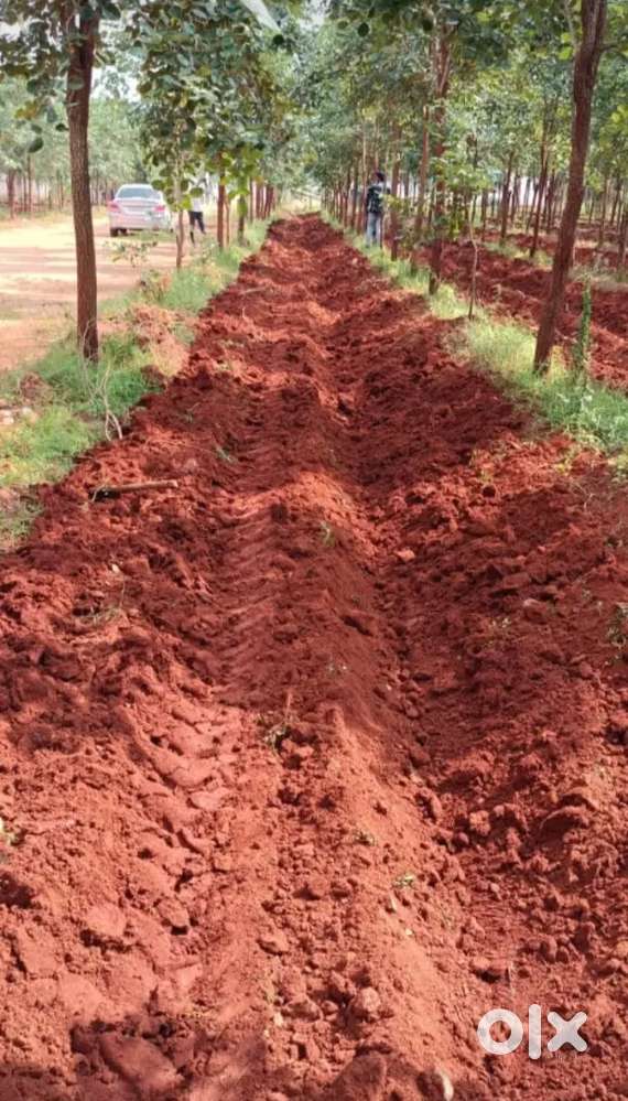 1acer Agriculture land for sale