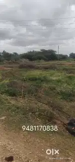 2 acres agriculture land for sale.At chellakere chitradurga district