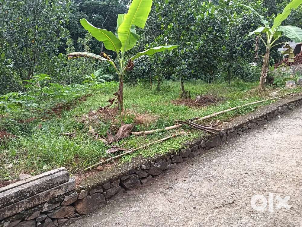 11,cent plot for sale,( ponkutty ) Ernakulam pala route
