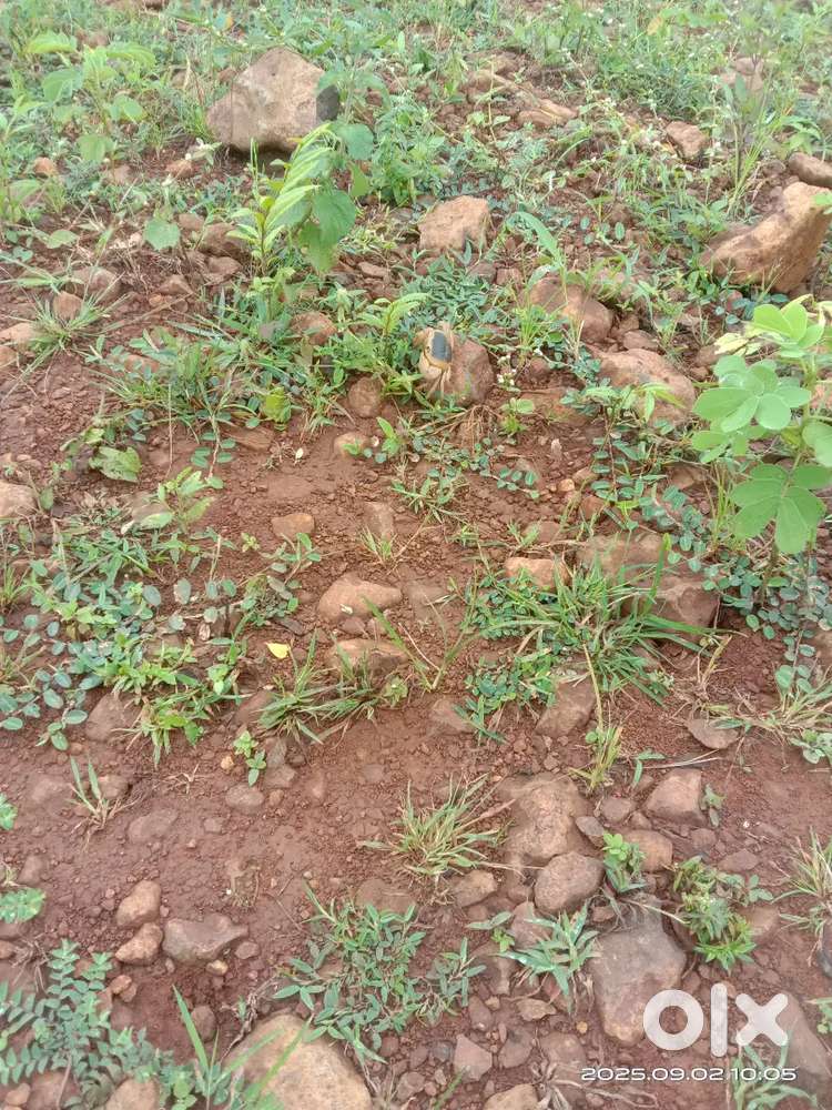 Pethroad High way touch Land area up to 5 acre