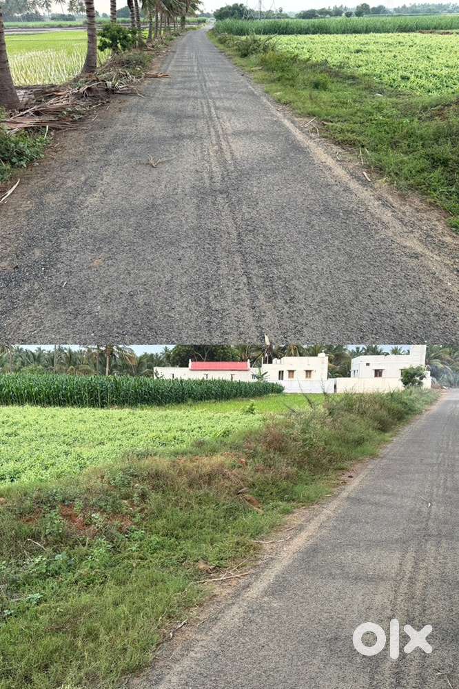 10 months pasanam land for sale