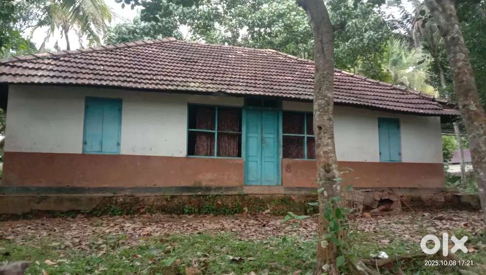 12.5 cent plot for sale near Kavalayoor.