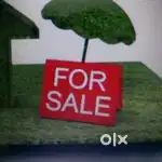 7 Cent plot and house for sale in Kumbazha