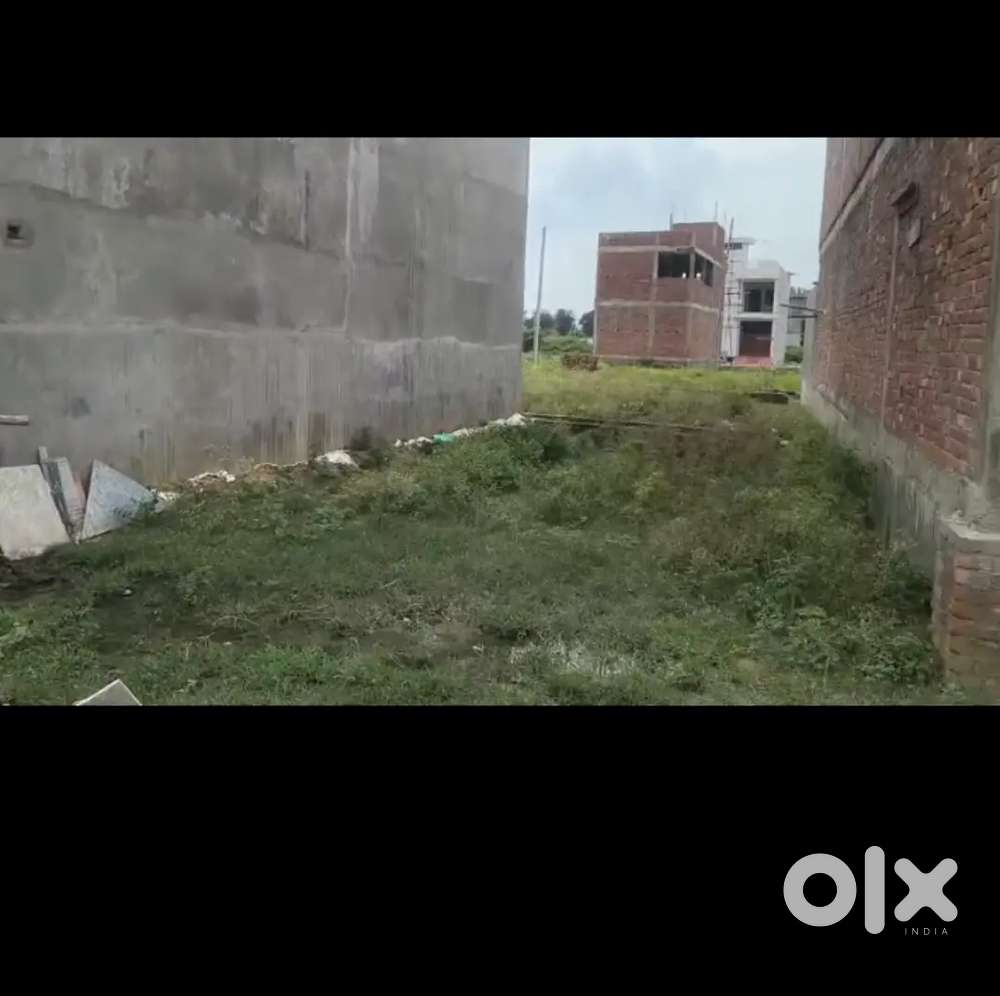 Free hold plot