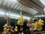 Loading and uploading banana work shop work