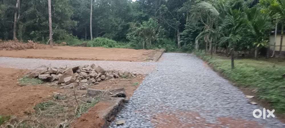 കൊരട്ടി ചിറങ്ങര മംഗലശ്ശേരി ക്ലബ്ബിന് സമീപം 4 സെൻ്റ് മുതൽ പ്ലോട്ടുകൾ