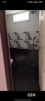 Need female room mate.