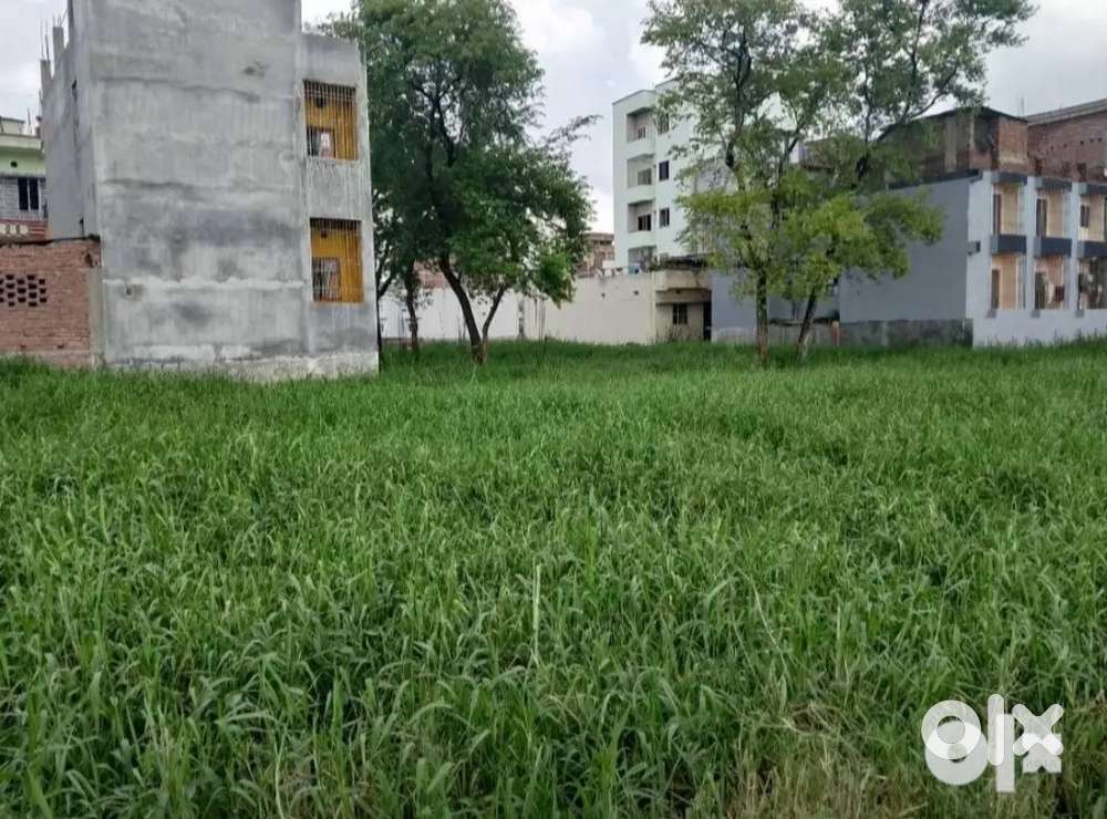 Rosera me jmin खरीदने एवं बेचने