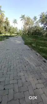 Koghorpilly 4 ct 5 ct plot ct 4 75 lk