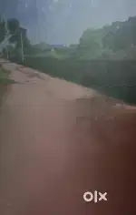 Near keedji school