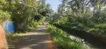 Land for sale is located 15 cent east of the river in Pazhavilai