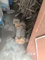 3Hp moter salu kandisn ok h