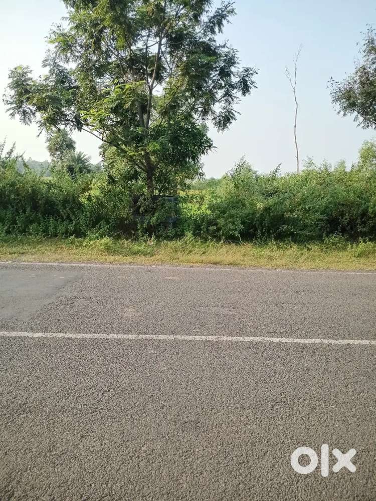150 Bigha Lands  near Chandrapur/Suri  in Birbhum District of W.B.