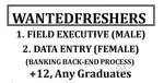 WANTED FRESHERS