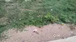 Open plot in bandlaguda near ecil