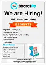 Bharatpe QR sales