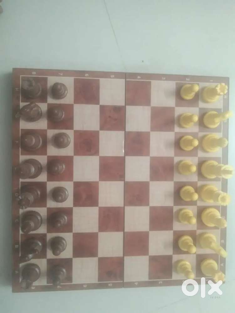 Foldable magnetic Chess