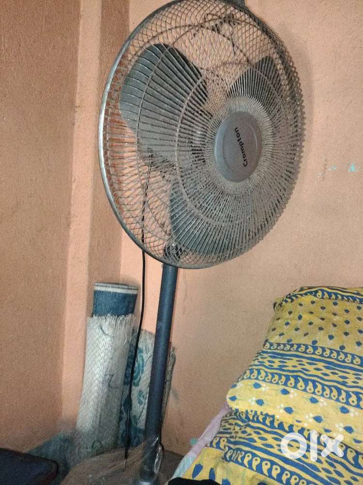 Vary good condition fen