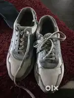 Shoes reebok