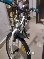 One year old cycle
