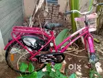 Ladies cycle