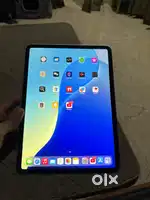Ipad PRO 4th gen with APPLE CARE PLUS