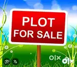 selling my plot in Barwlala luxmi vihar colony  near civil hospital