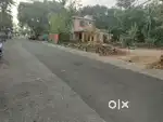ചാവർകോട് പറകുന്നുറൂട്ടിൽ റോഡ് സൈഡ് 69 സെൻറ് മൊത്തമായോ പ്ലോട്ടുകൾ ആയോ