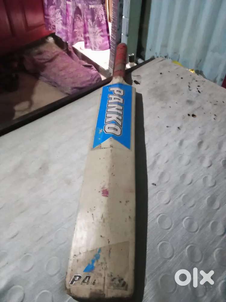 Cricket bat