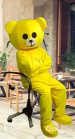 Teddy bear costume