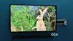 Sony K43S20 43inch