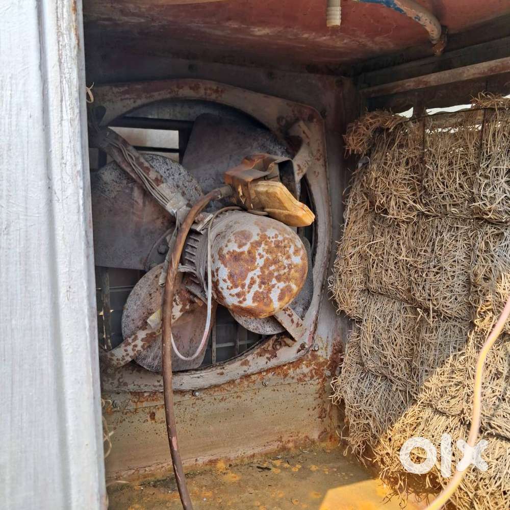 Dessert Cooler Second Hand