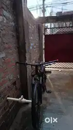 Sync MTB stunt bike