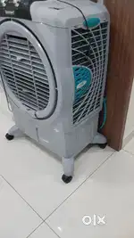Symphony sumo cooler.