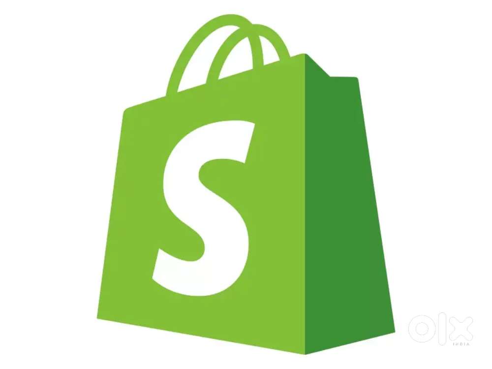 Shopify website developer