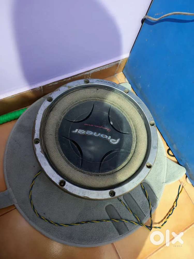 Speaker woofer