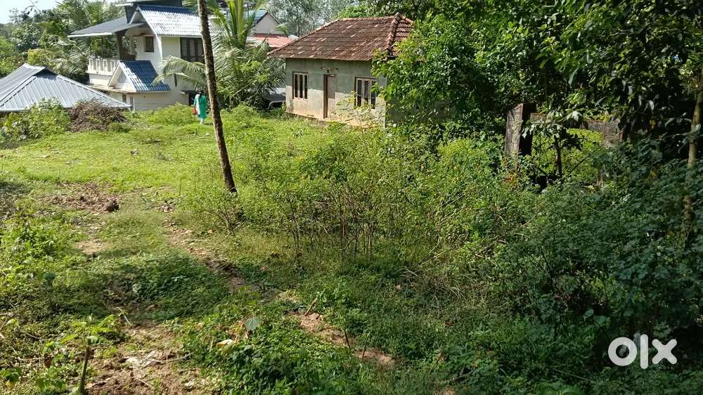 30 Cent land for sale