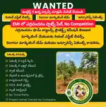 Associates(EMI లో ఎర్రచందనం ప్లాట్స్ సేల్)
