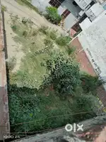 100 gaj ka plot hai 30 front 30 gheraai sumer civil bh chakor plot hai