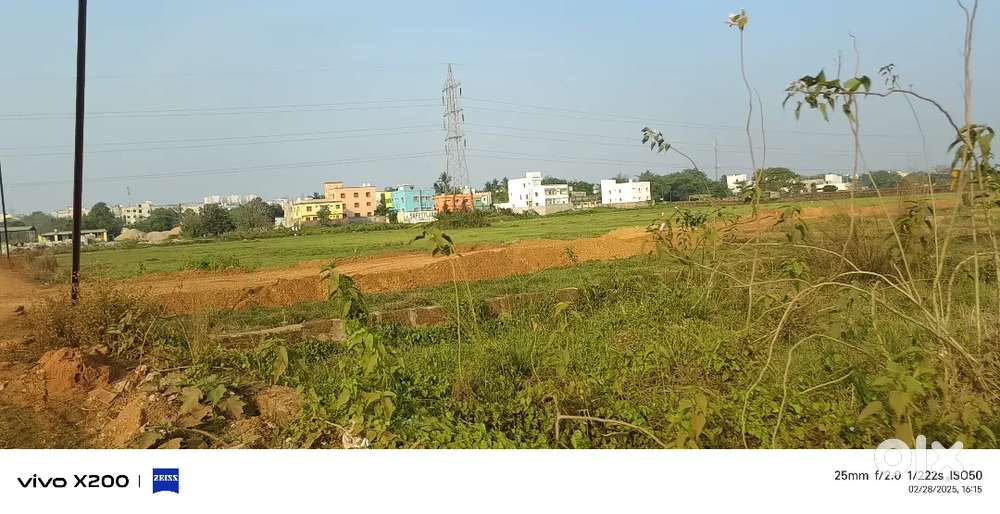 Plot for sale near Allms hospital