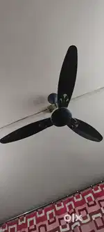 Fan good condition 1 one 2 yers old hai