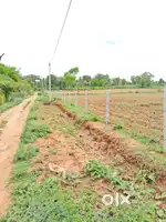 12 GUNNTA SITE LAND SLAE NEAR KNS LAYOUT ATTACHED DATTAGALLI