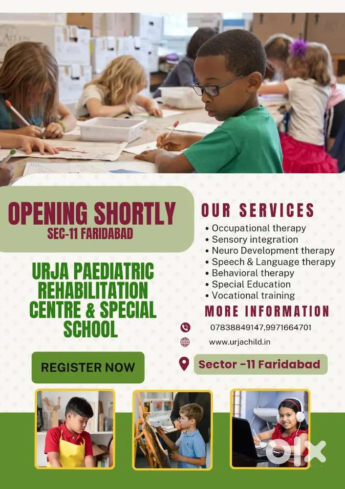 Special educator