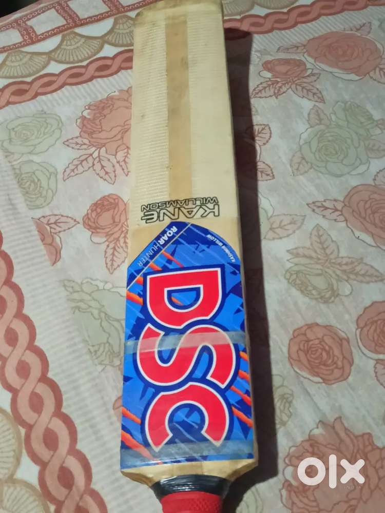 DSC Original Roar Hunter