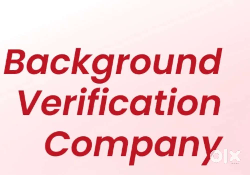 Computer Operator / Back of Assistant