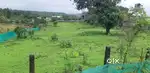 Agriculture Land Sale in Khopoli Pali Road near Jambhul Pada