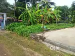 House plot 3 cent